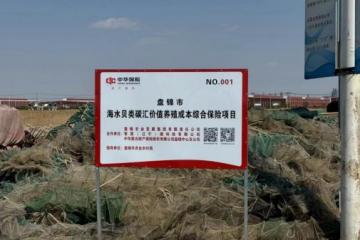 “碳”索新“蓝海” 保险业挖掘绿色经济新路径