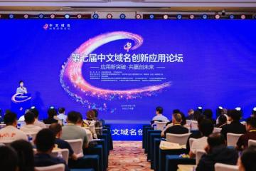 业界:推进中文域名应用 加强知识产权保护
